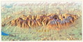 Pohľadnica 1 Vysoké Tatry 27 x 13,6